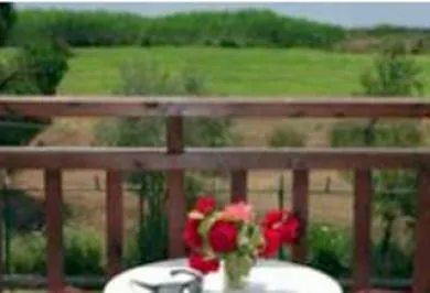 Lake Studios 2* كوكونارييس